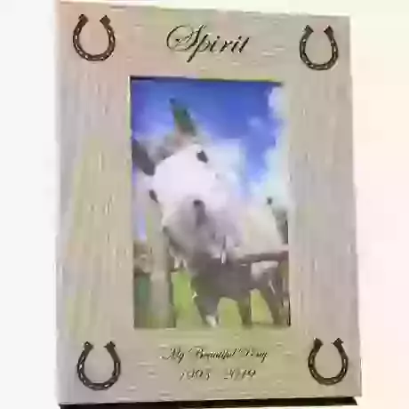 Equine Photo Frame